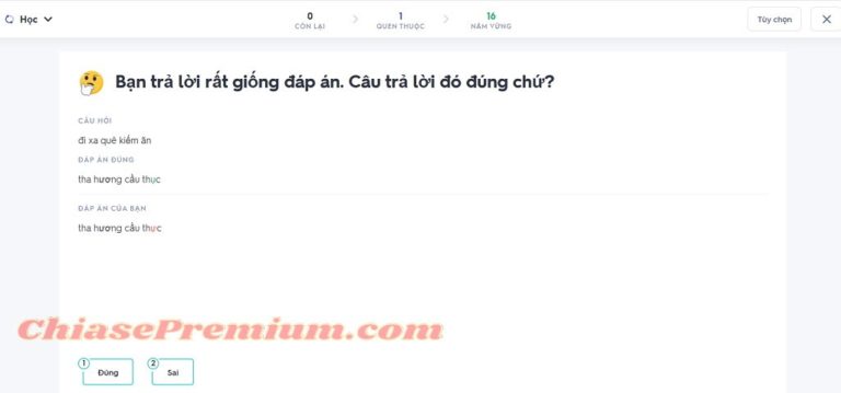 Quizlet là gì Cách sử dụng Quizlet Plus hiệu quả