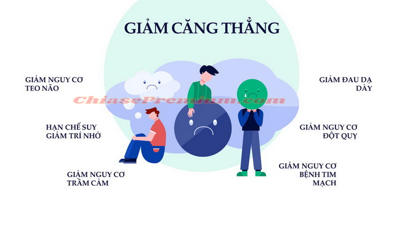 Cách làm infographic: chọn Infographic Templates