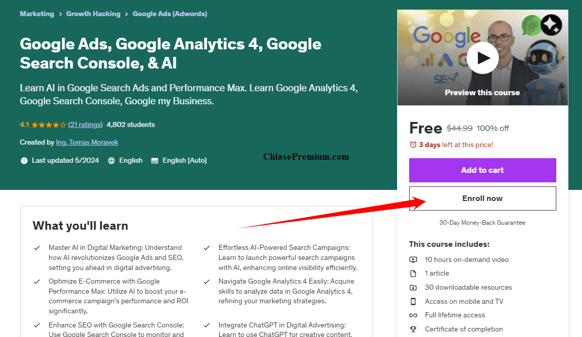 Google Ads, Google Analytics 4, Google Search Console, & AI