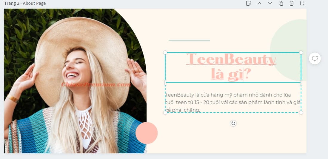 Cách tạo Landing Page cho website với Canva (tiếp theo)