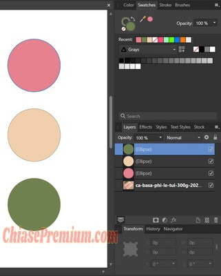 Bảng Swatches sẽ lưu lại những mẫu màu mà bạn đã sử dụng Color Picker Tool để hút màu gần đây