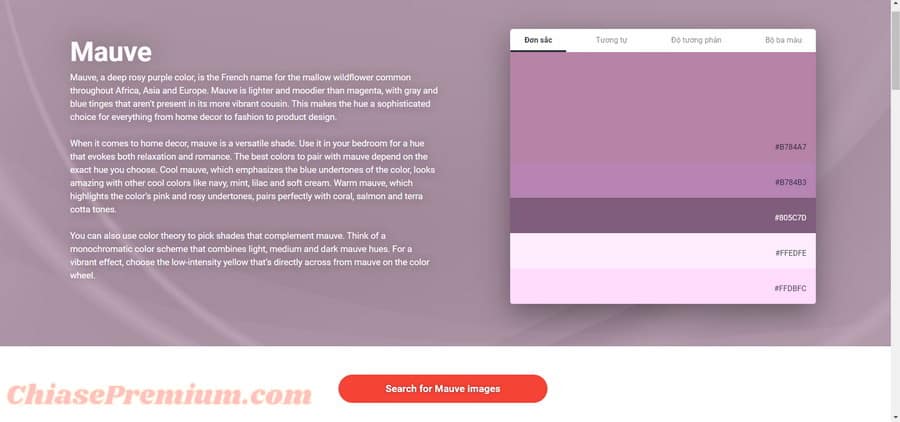Các màu sắc đa dạng ở Shutterstock 