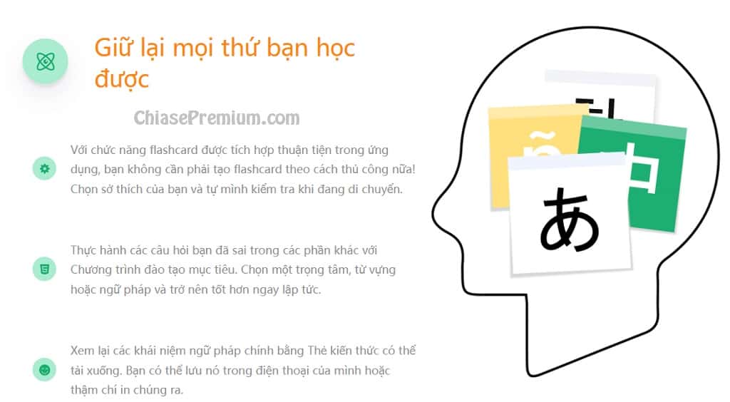 Bạn chỉ có thể sử dụng tính năng Flashcards trên LingoDeer khi đăng ký gói trả phí