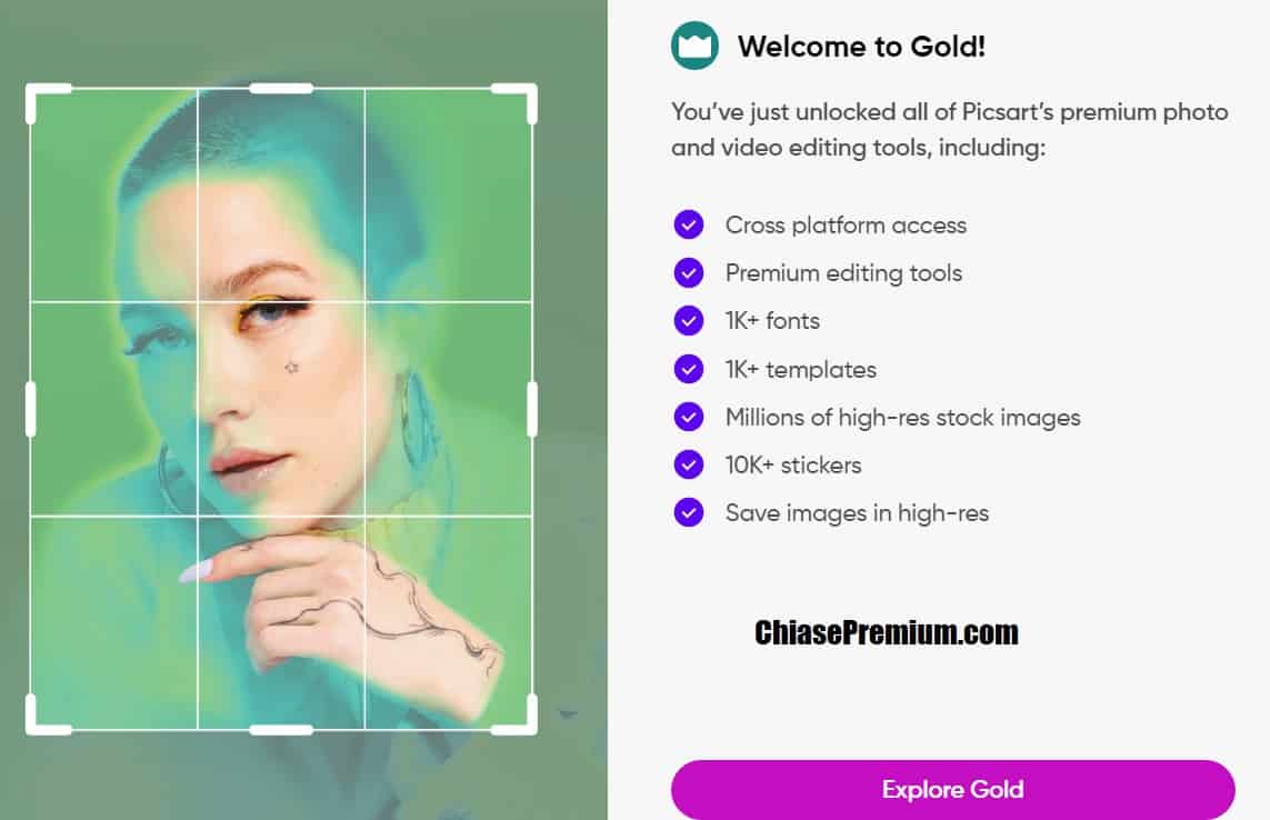 Đăng ký Picsart Gold miễn phí thành công