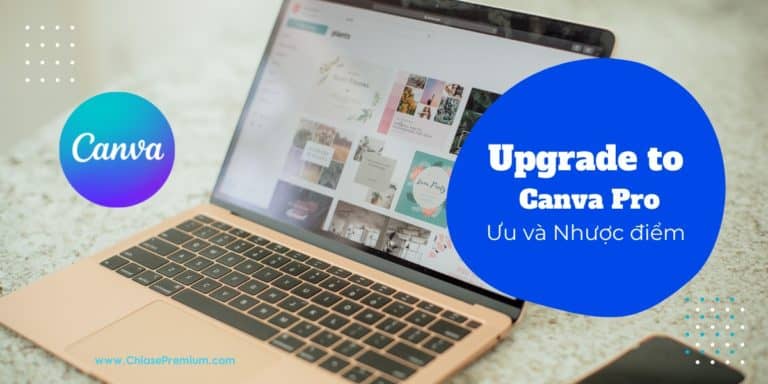 Nhược điểm khi nâng cấp Canva Pro theo nhóm | Canva Pro team