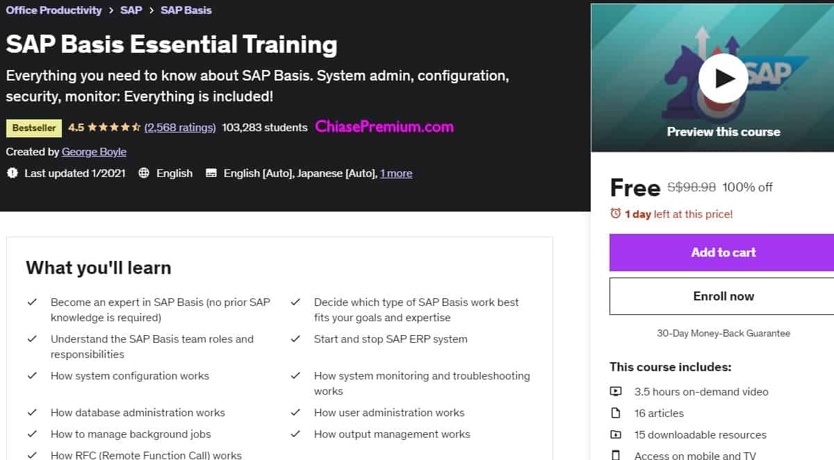 SAP Basis Essential Training