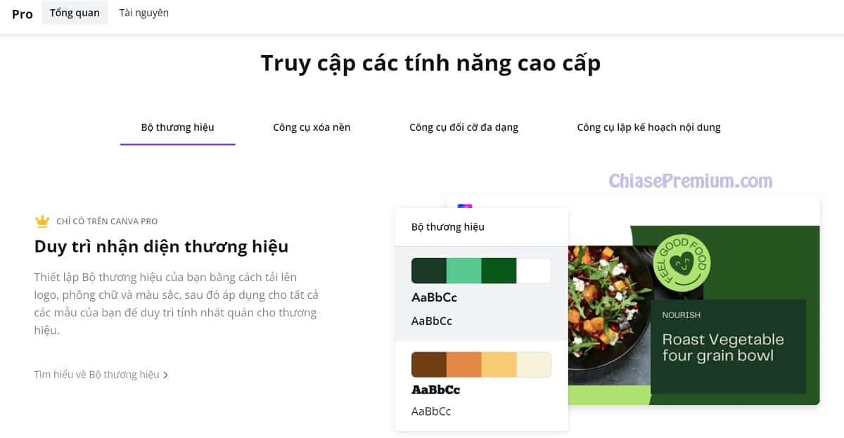 Tính năng tài khoản Canva Pro (cập nhật tháng 4/2022)