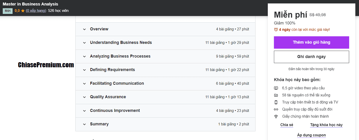 Master in Business Analysis