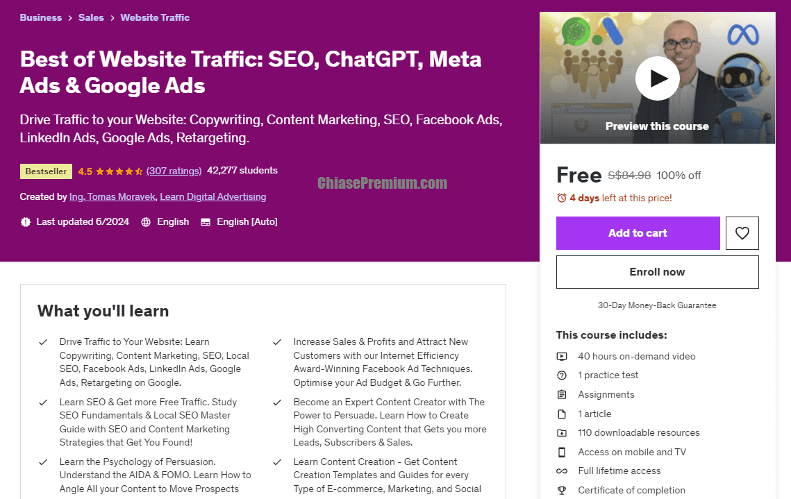 Best of Website Traffic: SEO, ChatGPT, Meta Ads & Google Ads